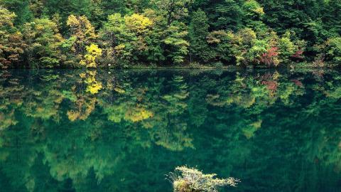 四川九寨沟自然风景图片