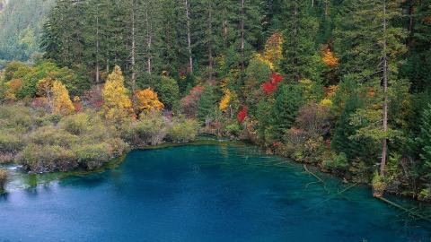 四川九寨沟自然风景图片
