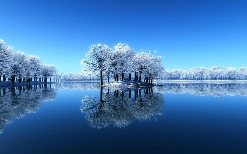 玉树琼枝雪景图片