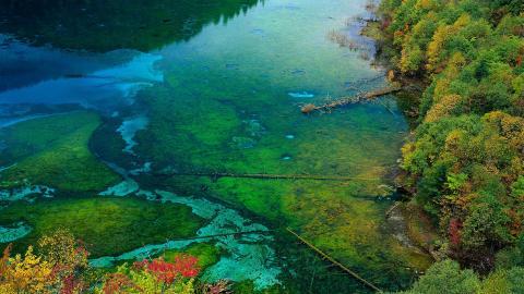 四川九寨沟自然风景图片