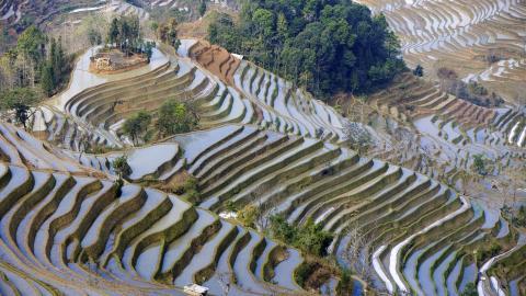 大山里无尽的梯田风光