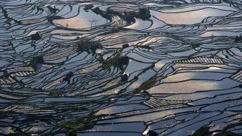 大山里无尽的梯田风光