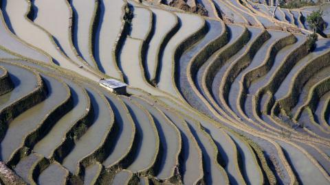 大山里无尽的梯田风光