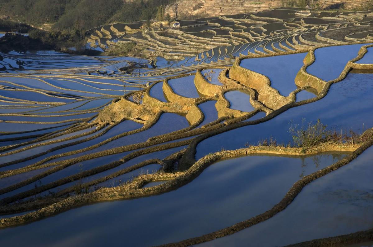 大山里无尽的梯田风光