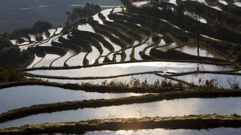 大山里无尽的梯田风光