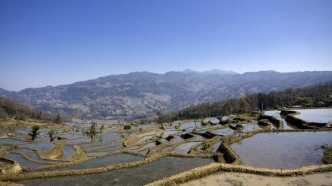 大山里无尽的梯田风光