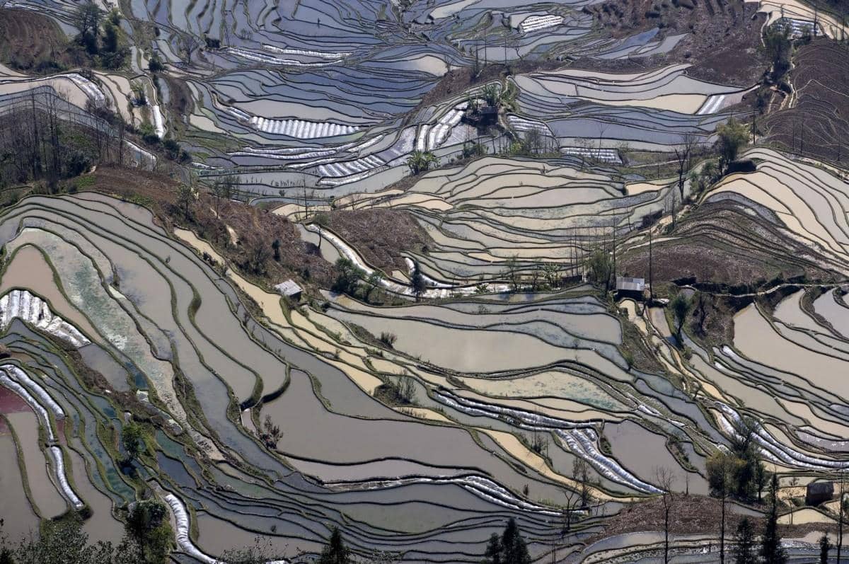 大山里无尽的梯田风光