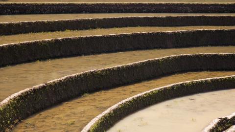 大山里无尽的梯田风光