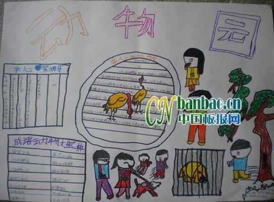 动物园手抄报 16张生物手抄报