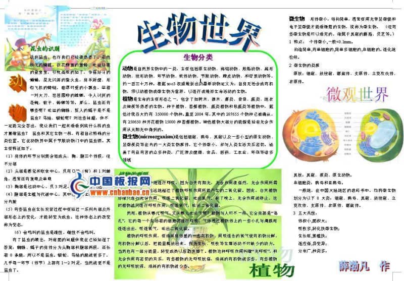 生物手抄报 9张生物手抄报