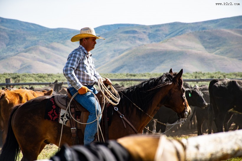 打扮酷帅的牛仔图片大全
