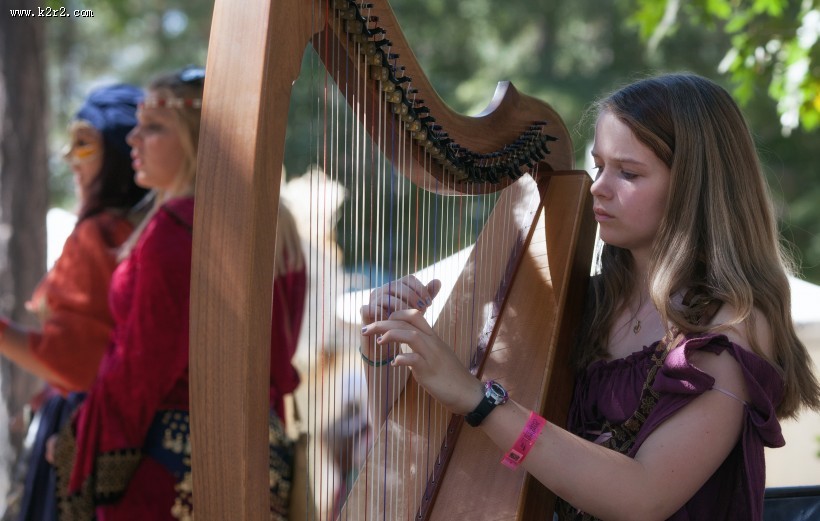 演奏竖琴的人图片