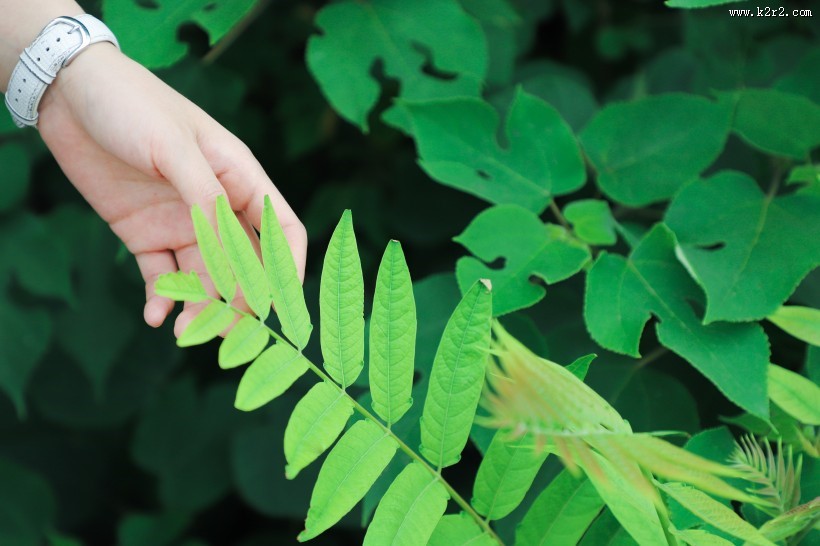 小清新美女图片