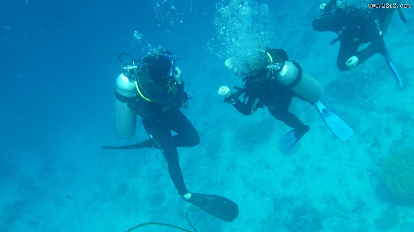 正在潜水的人图片