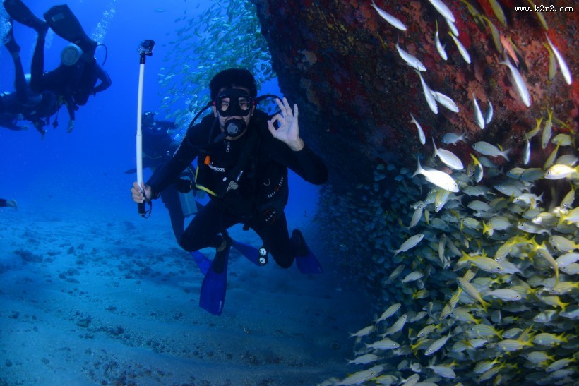 正在潜水的人图片