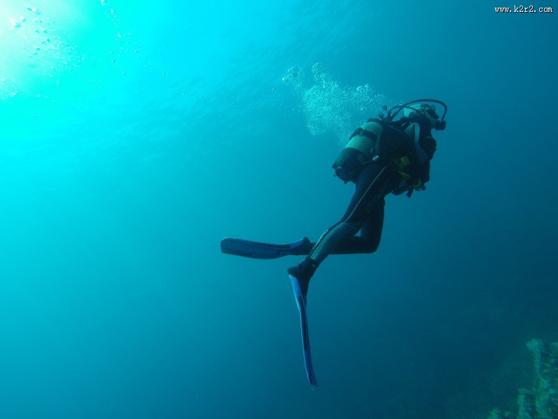 正在潜水的人图片