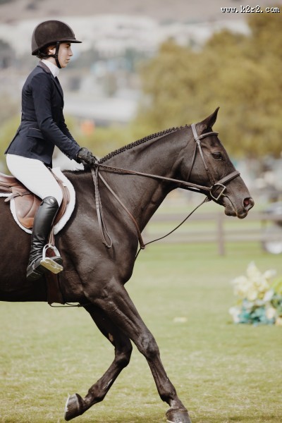 在马场骑马的美女图片