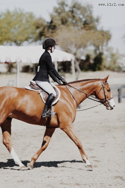 在马场骑马的美女图片