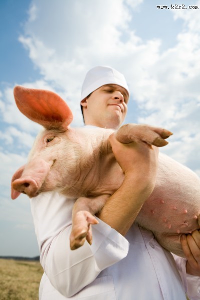 抱着猪的兽医图片