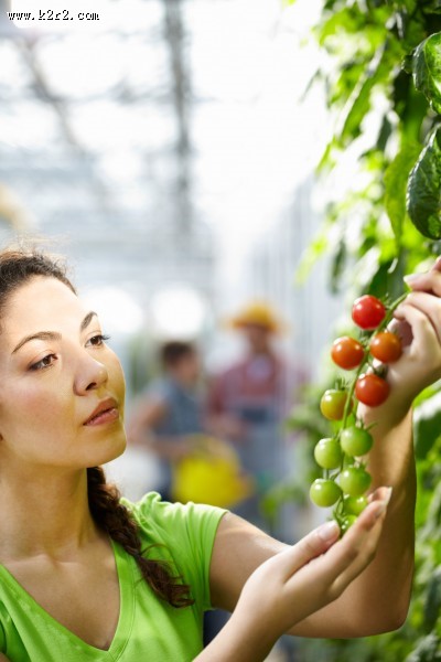 采摘蔬果的农民图片