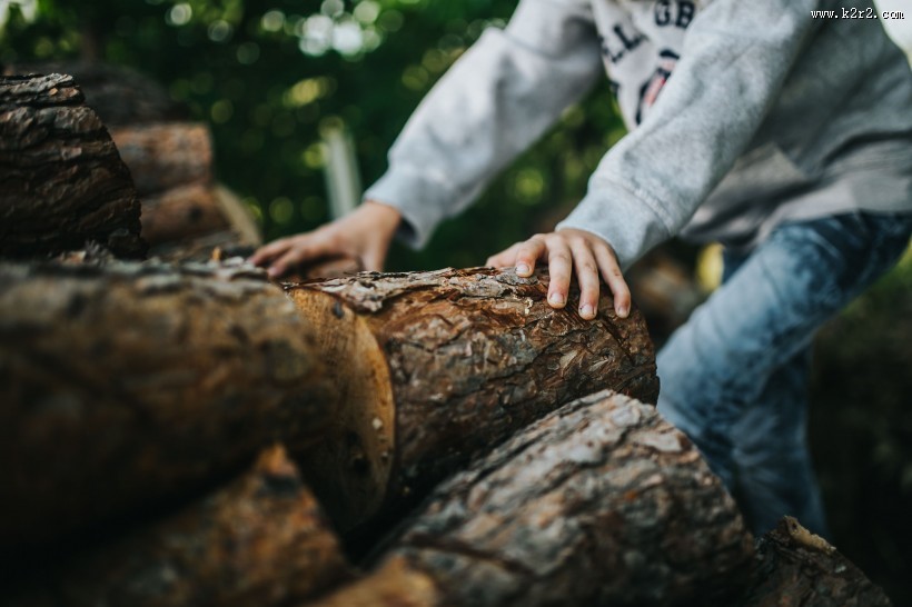 花园里的男孩图片