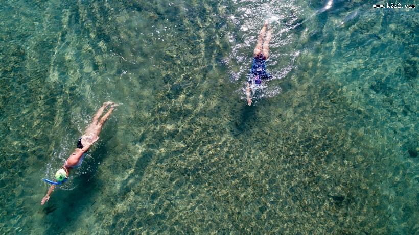 在水中游泳的人图片