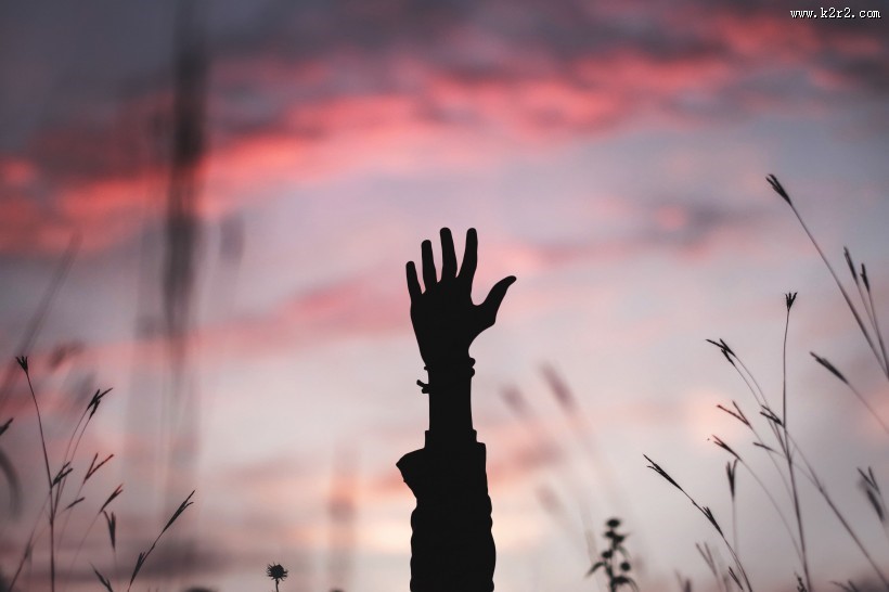 一个人的手特写图片