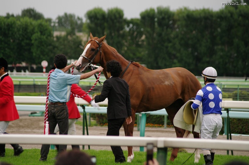 牵着马的男子图片