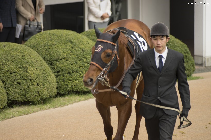 牵着马的男子图片