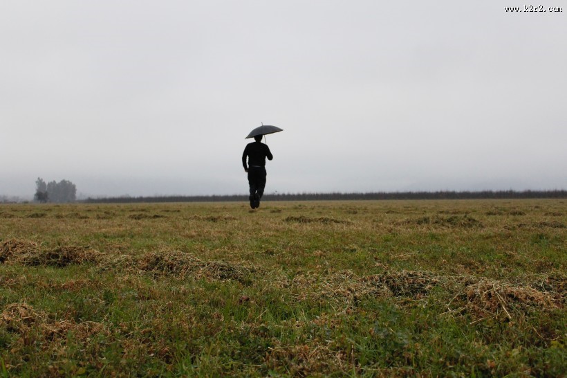 撑着伞的人图片大全