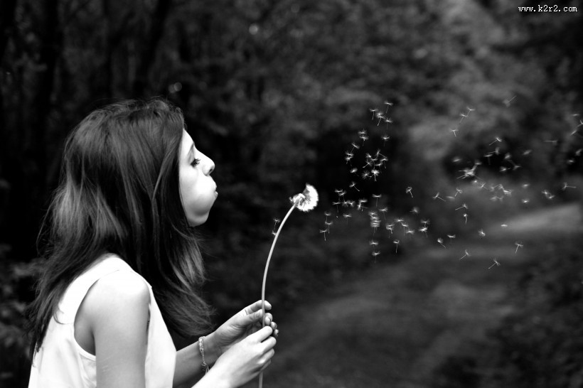 蒲公英和人高清图片大全