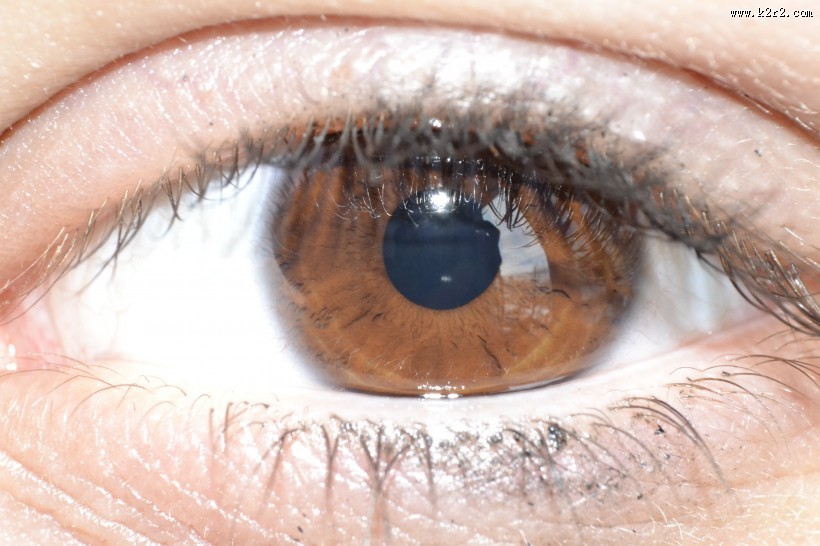 美丽的眼睛图片大全