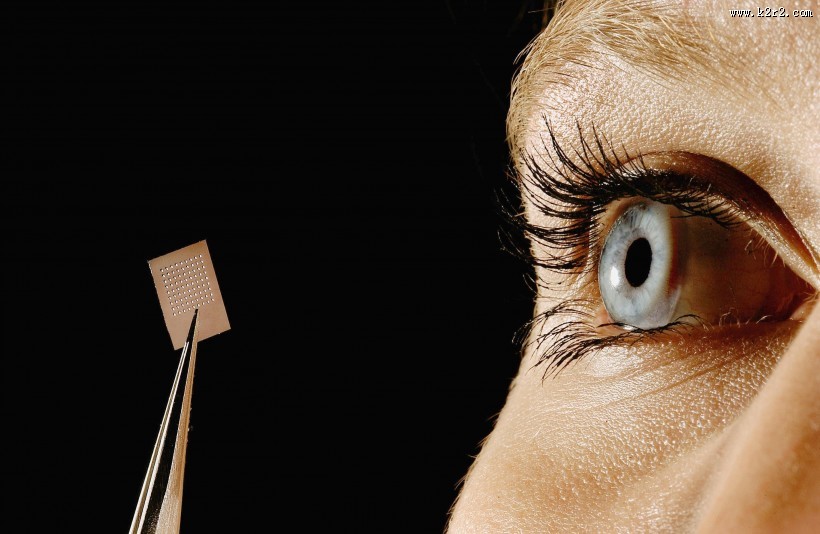 美丽的眼睛图片大全