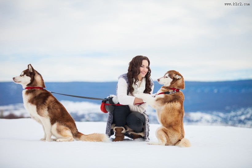 欧美美女和哈士奇玩耍图片