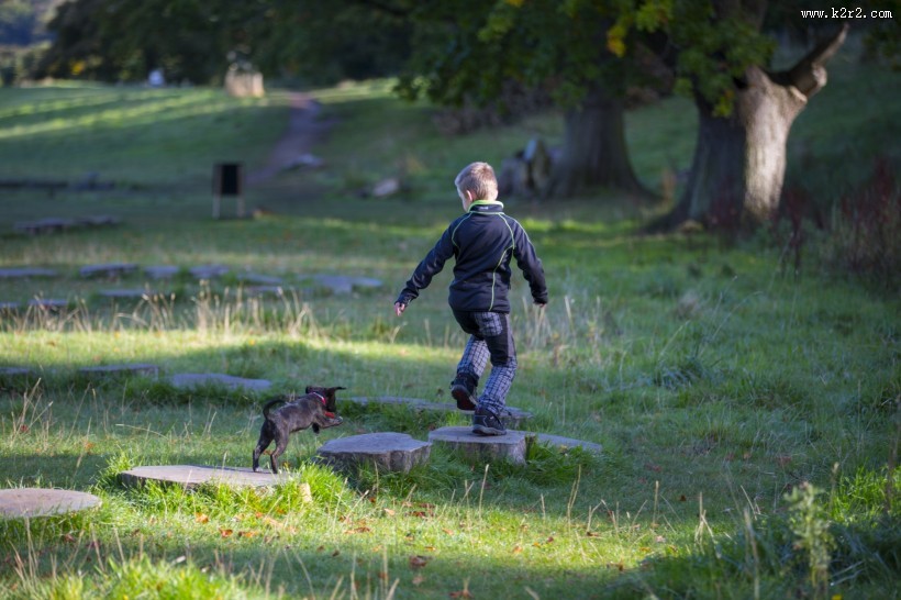 在草地上的孤独的小男孩图片