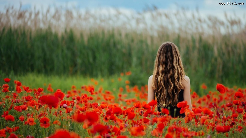 唯美的女孩背影图片