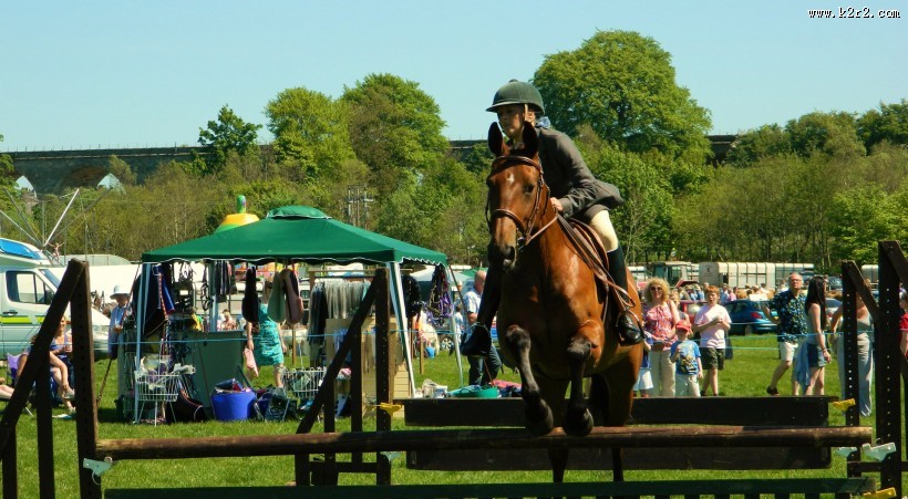 骑马跨栏比赛图片大全