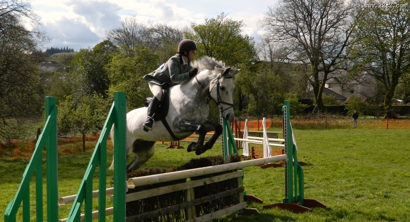 骑马跨栏比赛图片大全