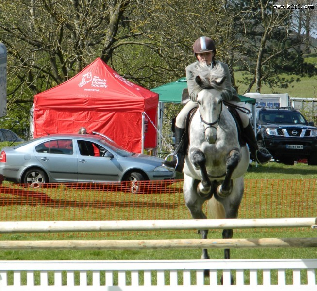 骑马跨栏比赛图片大全