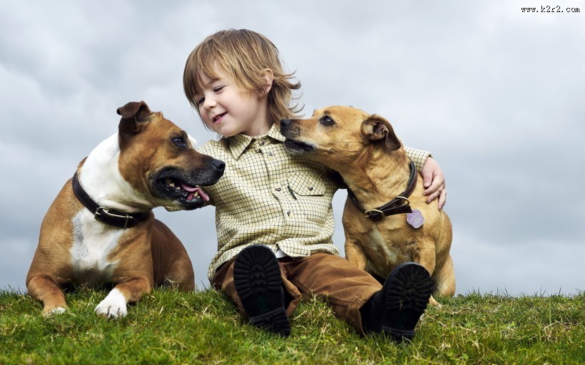 宝宝与狗图片