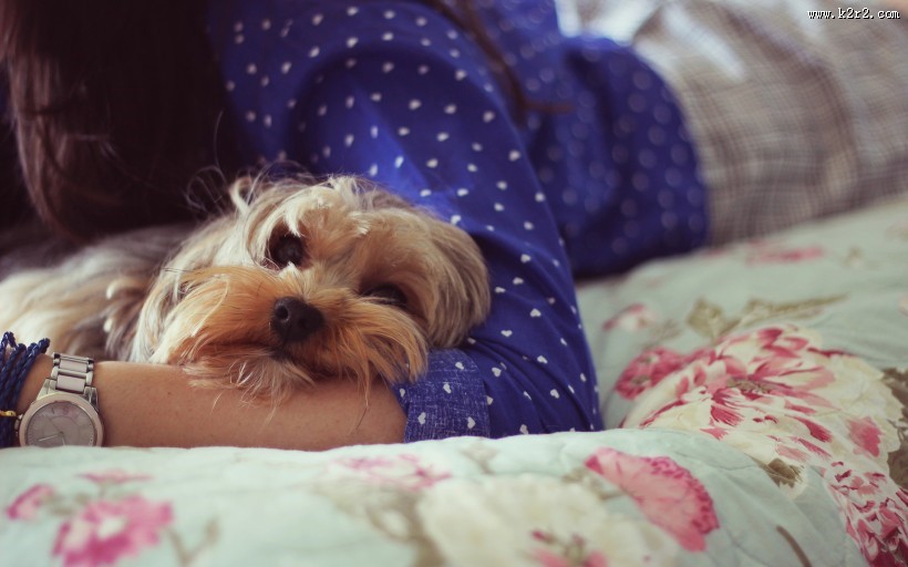 人与狗狗的亲密图片大全