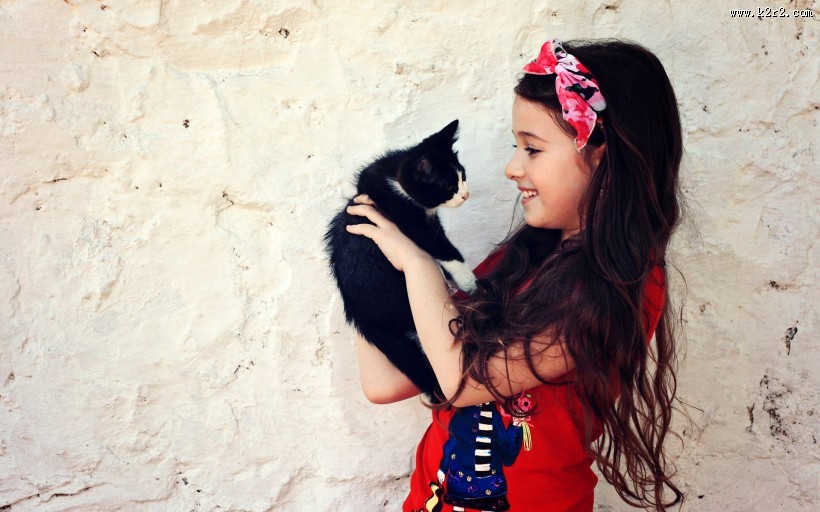 猫与人的友好图片