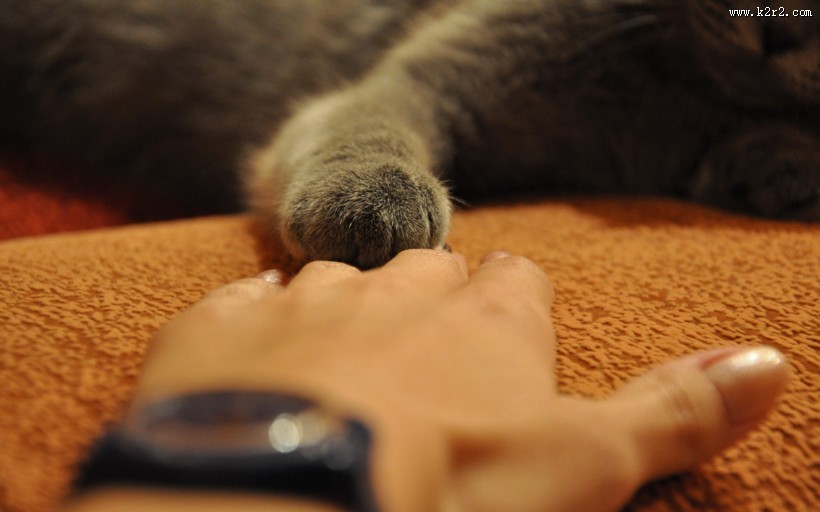 唯美手部特写图片