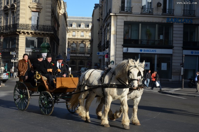 人与马友好图片大全