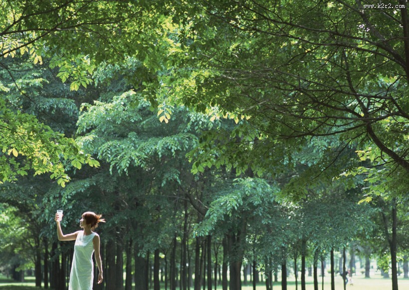 女性和绿色森林图片大全