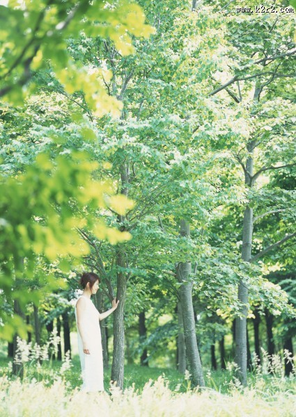 女性和绿色森林图片大全