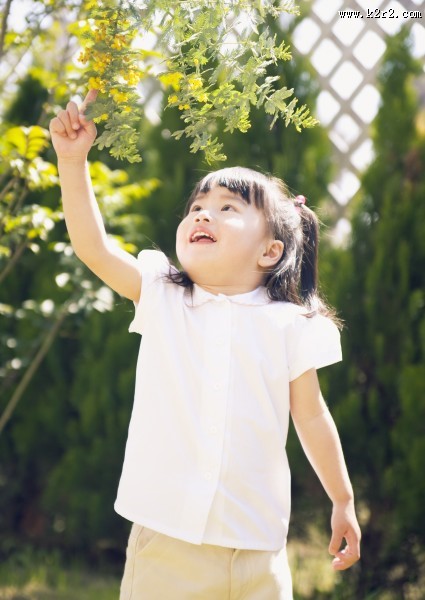 一家人草地玩耍图片