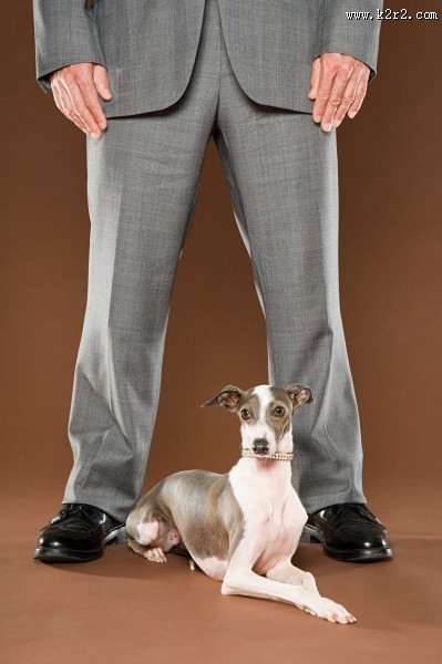 男性和宠物狗图片