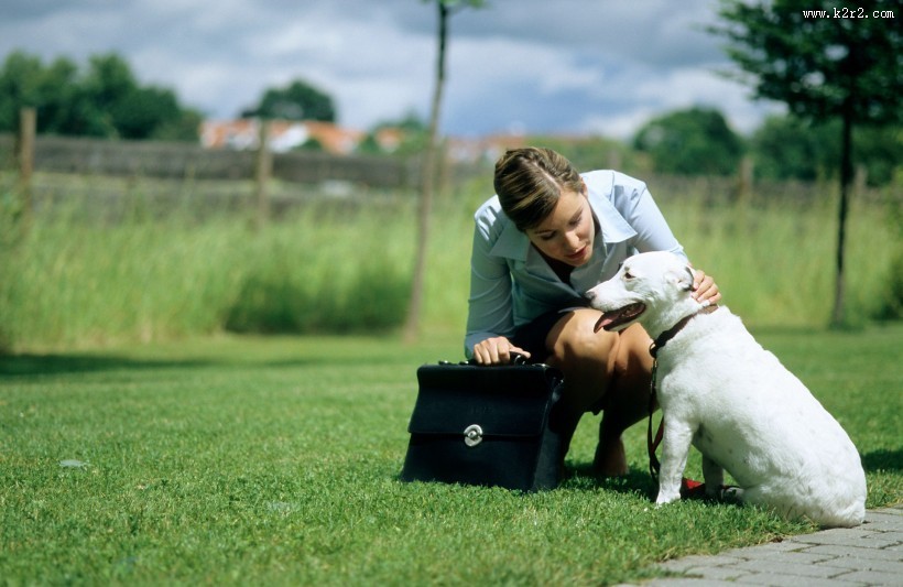 和宠物草地玩耍图片