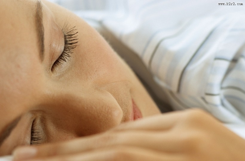 和宠物在家生活图片